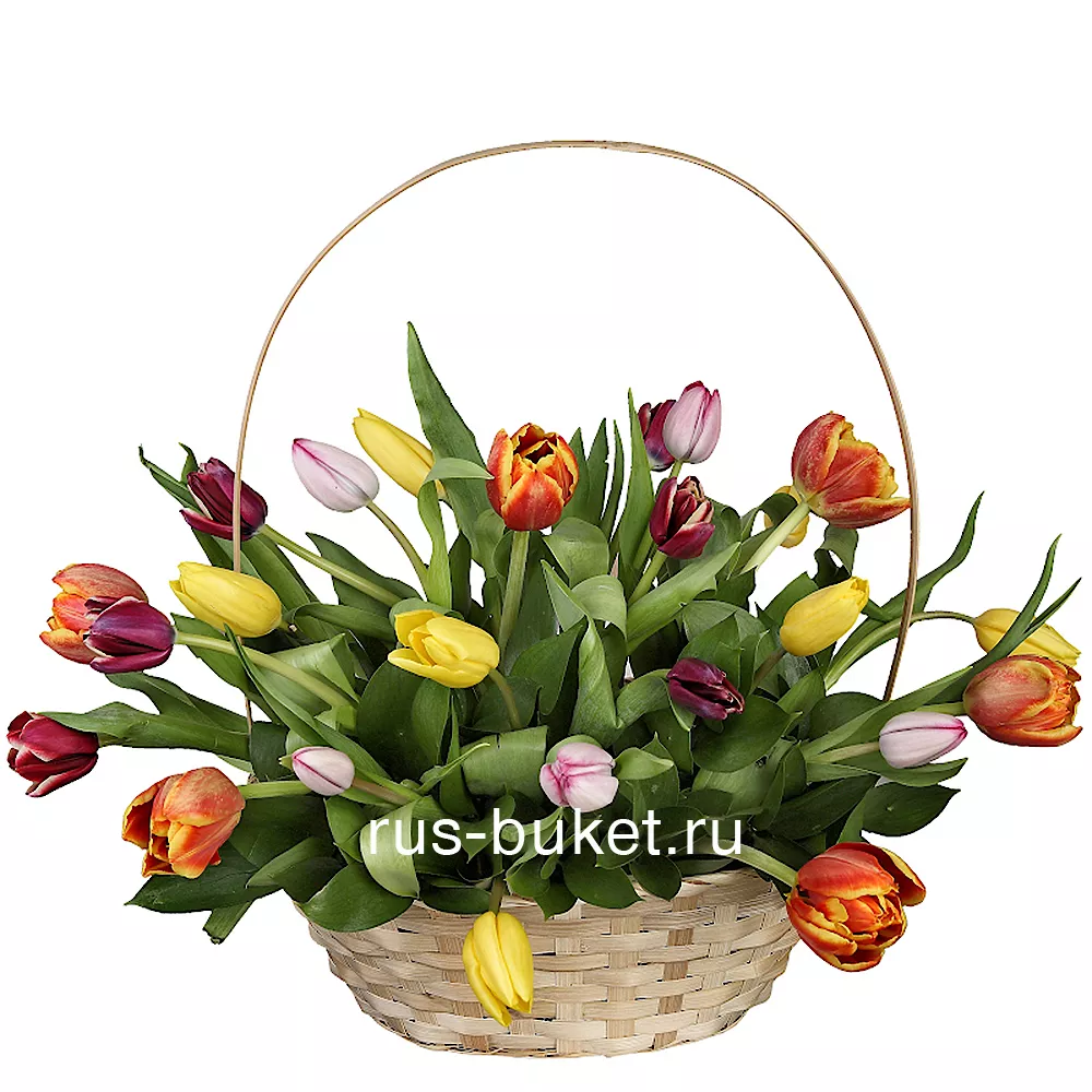 КОМПОЗИЦИЯ "ЕРАЛАШ